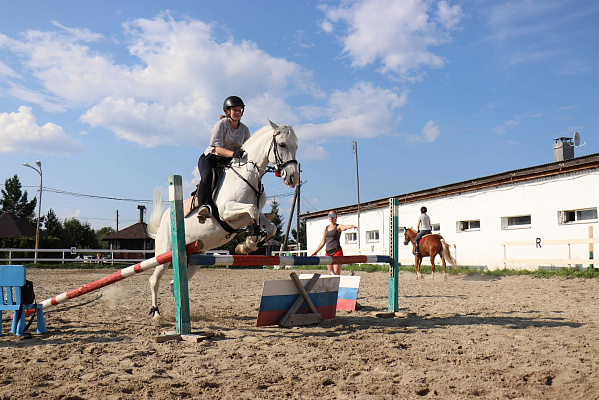 Конные прогулки в Екатеринбурге. Подарочные сертификаты Ultra Подарки. Купить оригинальный подарок или подарочный сертификат на Конные прогулки в Екатеринбурге. Сервис UltraPodarki.ru 8-800-505-9530. Катание на лошадях, Прогулка на лошади, Прогулка на лошадях для двоих, Конные прогулки, конный клуб, Конный клуб, конная прогулка, конная прогулка в Екатеринбурге