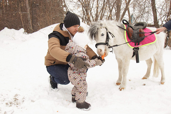 Конные прогулки в Екатеринбурге. Подарочные сертификаты Ultra Подарки. Купить оригинальный подарок или подарочный сертификат на Конные прогулки в Екатеринбурге. Сервис UltraPodarki.ru 8-800-505-9530. Катание на лошадях, Прогулка на лошади, Прогулка на лошадях для двоих, Конные прогулки, конный клуб, Конный клуб, конная прогулка, конная прогулка в Екатеринбурге