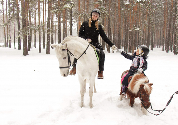Конные прогулки в Екатеринбурге. Подарочные сертификаты Ultra Подарки. Купить оригинальный подарок или подарочный сертификат на Конные прогулки в Екатеринбурге. Сервис UltraPodarki.ru 8-800-505-9530. Катание на лошадях, Прогулка на лошади, Прогулка на лошадях для двоих, Конные прогулки, конный клуб, Конный клуб, конная прогулка, конная прогулка в Екатеринбурге