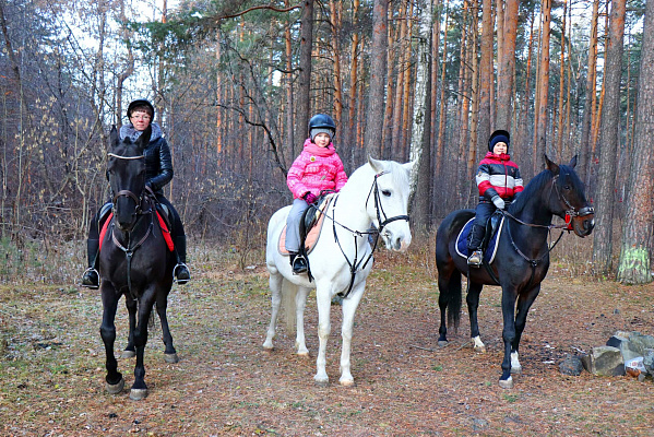 Конные прогулки в Екатеринбурге. Подарочные сертификаты Ultra Подарки. Купить оригинальный подарок или подарочный сертификат на Конные прогулки в Екатеринбурге. Сервис UltraPodarki.ru 8-800-505-9530. Катание на лошадях, Прогулка на лошади, Прогулка на лошадях для двоих, Конные прогулки, конный клуб, Конный клуб, конная прогулка, конная прогулка в Екатеринбурге