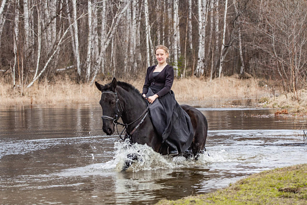 Конные прогулки в Екатеринбурге. Подарочные сертификаты Ultra Подарки. Купить оригинальный подарок или подарочный сертификат на Конные прогулки в Екатеринбурге. Сервис UltraPodarki.ru 8-800-505-9530. Катание на лошадях, Прогулка на лошади, Прогулка на лошадях для двоих, Конные прогулки, конный клуб, Конный клуб, конная прогулка, конная прогулка в Екатеринбурге