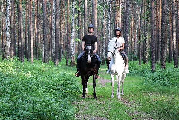 Конные прогулки в Екатеринбурге. Подарочные сертификаты Ultra Подарки. Купить оригинальный подарок или подарочный сертификат на Конные прогулки в Екатеринбурге. Сервис UltraPodarki.ru 8-800-505-9530. Катание на лошадях, Прогулка на лошади, Прогулка на лошадях для двоих, Конные прогулки, конный клуб, Конный клуб, конная прогулка, конная прогулка в Екатеринбурге
