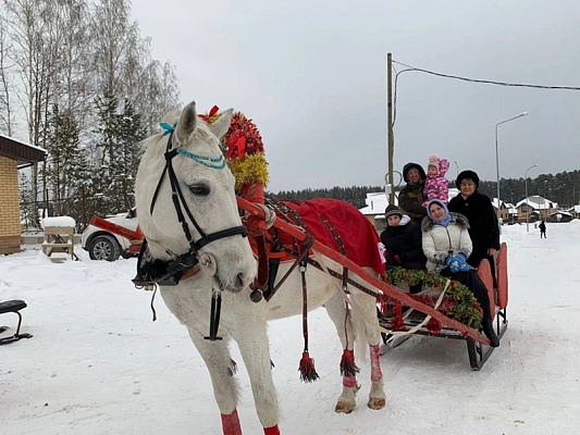 Конные прогулки в Екатеринбурге. Подарочные сертификаты Ultra Подарки. Купить оригинальный подарок или подарочный сертификат на Конные прогулки в Екатеринбурге. Сервис UltraPodarki.ru 8-800-505-9530. Катание на лошадях, Прогулка на лошади, Прогулка на лошадях для двоих, Конные прогулки, конный клуб, Конный клуб, конная прогулка, конная прогулка в Екатеринбурге