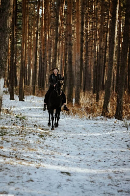 Конные прогулки в Екатеринбурге. Подарочные сертификаты Ultra Подарки. Купить оригинальный подарок или подарочный сертификат на Конные прогулки в Екатеринбурге. Сервис UltraPodarki.ru 8-800-505-9530. Катание на лошадях, Прогулка на лошади, Прогулка на лошадях для двоих, Конные прогулки, конный клуб, Конный клуб, конная прогулка, конная прогулка в Екатеринбурге