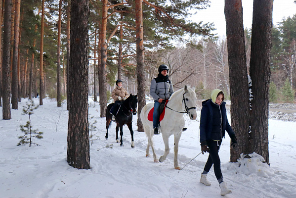 Конные прогулки в Екатеринбурге. Подарочные сертификаты Ultra Подарки. Купить оригинальный подарок или подарочный сертификат на Конные прогулки в Екатеринбурге. Сервис UltraPodarki.ru 8-800-505-9530. Катание на лошадях, Прогулка на лошади, Прогулка на лошадях для двоих, Конные прогулки, конный клуб, Конный клуб, конная прогулка, конная прогулка в Екатеринбурге