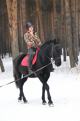 Конные прогулки в Екатеринбурге. Подарочные сертификаты Ultra Подарки. Купить оригинальный подарок или подарочный сертификат на Конные прогулки в Екатеринбурге. Сервис UltraPodarki.ru 8-800-505-9530. Катание на лошадях, Прогулка на лошади, Прогулка на лошадях для двоих, Конные прогулки, конный клуб, Конный клуб, конная прогулка, конная прогулка в Екатеринбурге