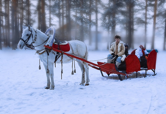Конные прогулки в Екатеринбурге. Подарочные сертификаты Ultra Подарки. Купить оригинальный подарок или подарочный сертификат на Конные прогулки в Екатеринбурге. Сервис UltraPodarki.ru 8-800-505-9530. Катание на лошадях, Прогулка на лошади, Прогулка на лошадях для двоих, Конные прогулки, конный клуб, Конный клуб, конная прогулка, конная прогулка в Екатеринбурге