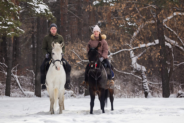 Конные прогулки в Екатеринбурге. Подарочные сертификаты Ultra Подарки. Купить оригинальный подарок или подарочный сертификат на Конные прогулки в Екатеринбурге. Сервис UltraPodarki.ru 8-800-505-9530. Катание на лошадях, Прогулка на лошади, Прогулка на лошадях для двоих, Конные прогулки, конный клуб, Конный клуб, конная прогулка, конная прогулка в Екатеринбурге