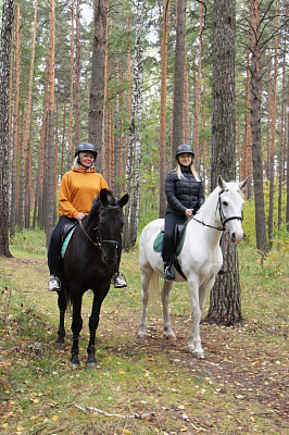 Конные прогулки в Екатеринбурге. Подарочные сертификаты Ultra Подарки. Купить оригинальный подарок или подарочный сертификат на Конные прогулки в Екатеринбурге. Сервис UltraPodarki.ru 8-800-505-9530. Катание на лошадях, Прогулка на лошади, Прогулка на лошадях для двоих, Конные прогулки, конный клуб, Конный клуб, конная прогулка, конная прогулка в Екатеринбурге