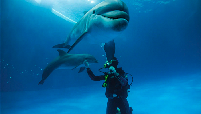 Дайвинг в Екатеринбурге глубокое погружение с аквалангом. Ultra Подарки. Дайвинг. Купить дайвинг в Екатеринбурге, обучение глубокому погружению, арендовать акваланг и подводное снаряжение. UltraPodarki.ru 8 800 505 95 30. дайвинг на озере, дайвинг погружение Екатеринбург, подводное плавание Екатеринбург, дайвинг клуб Екатеринбург, подарочные сертификаты, глубокое погружение, погружение с аквалангом Екатеринбург, дайвинг центр Екатеринбург, купить дайвинг Екатеринбург