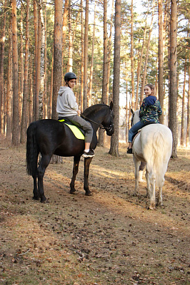 Конные прогулки в Екатеринбурге. Подарочные сертификаты Ultra Подарки. Купить оригинальный подарок или подарочный сертификат на Конные прогулки в Екатеринбурге. Сервис UltraPodarki.ru 8-800-505-9530. Катание на лошадях, Прогулка на лошади, Прогулка на лошадях для двоих, Конные прогулки, конный клуб, Конный клуб, конная прогулка, конная прогулка в Екатеринбурге