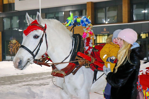 Конные прогулки в Екатеринбурге. Подарочные сертификаты Ultra Подарки. Купить оригинальный подарок или подарочный сертификат на Конные прогулки в Екатеринбурге. Сервис UltraPodarki.ru 8-800-505-9530. Катание на лошадях, Прогулка на лошади, Прогулка на лошадях для двоих, Конные прогулки, конный клуб, Конный клуб, конная прогулка, конная прогулка в Екатеринбурге
