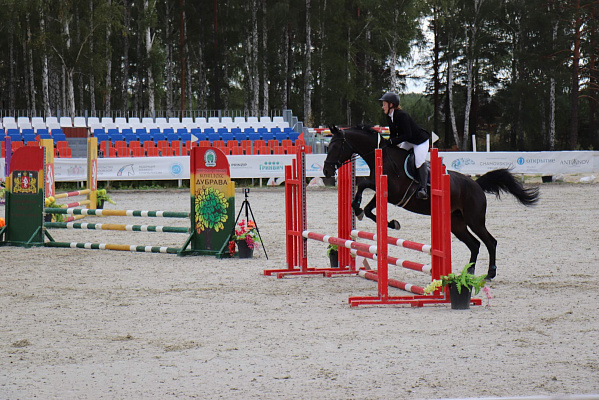Конные прогулки в Екатеринбурге. Подарочные сертификаты Ultra Подарки. Купить оригинальный подарок или подарочный сертификат на Конные прогулки в Екатеринбурге. Сервис UltraPodarki.ru 8-800-505-9530. Катание на лошадях, Прогулка на лошади, Прогулка на лошадях для двоих, Конные прогулки, конный клуб, Конный клуб, конная прогулка, конная прогулка в Екатеринбурге