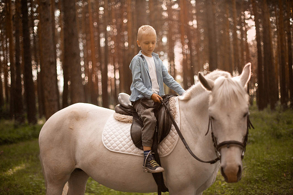 Конные прогулки в Екатеринбурге. Подарочные сертификаты Ultra Подарки. Купить оригинальный подарок или подарочный сертификат на Конные прогулки в Екатеринбурге. Сервис UltraPodarki.ru 8-800-505-9530. Катание на лошадях, Прогулка на лошади, Прогулка на лошадях для двоих, Конные прогулки, конный клуб, Конный клуб, конная прогулка, конная прогулка в Екатеринбурге
