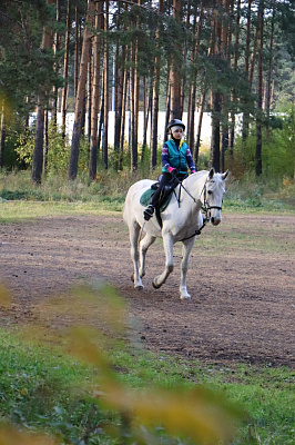 Конные прогулки в Екатеринбурге. Подарочные сертификаты Ultra Подарки. Купить оригинальный подарок или подарочный сертификат на Конные прогулки в Екатеринбурге. Сервис UltraPodarki.ru 8-800-505-9530. Катание на лошадях, Прогулка на лошади, Прогулка на лошадях для двоих, Конные прогулки, конный клуб, Конный клуб, конная прогулка, конная прогулка в Екатеринбурге