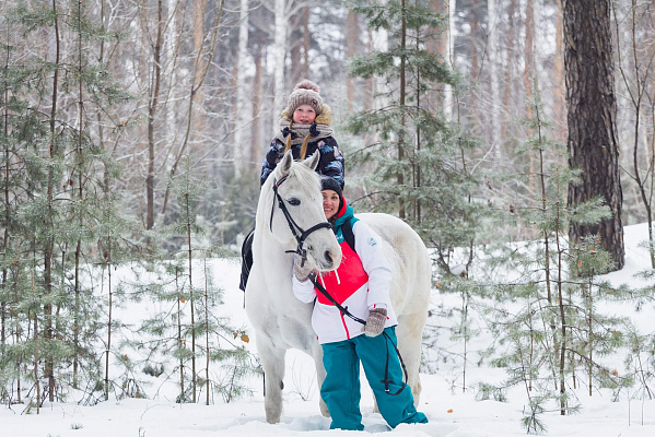 Конные прогулки в Екатеринбурге. Подарочные сертификаты Ultra Подарки. Купить оригинальный подарок или подарочный сертификат на Конные прогулки в Екатеринбурге. Сервис UltraPodarki.ru 8-800-505-9530. Катание на лошадях, Прогулка на лошади, Прогулка на лошадях для двоих, Конные прогулки, конный клуб, Конный клуб, конная прогулка, конная прогулка в Екатеринбурге