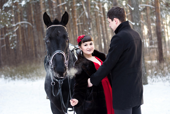 Конные прогулки в Екатеринбурге. Подарочные сертификаты Ultra Подарки. Купить оригинальный подарок или подарочный сертификат на Конные прогулки в Екатеринбурге. Сервис UltraPodarki.ru 8-800-505-9530. Катание на лошадях, Прогулка на лошади, Прогулка на лошадях для двоих, Конные прогулки, конный клуб, Конный клуб, конная прогулка, конная прогулка в Екатеринбурге