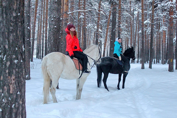 Конные прогулки в Екатеринбурге. Подарочные сертификаты Ultra Подарки. Купить оригинальный подарок или подарочный сертификат на Конные прогулки в Екатеринбурге. Сервис UltraPodarki.ru 8-800-505-9530. Катание на лошадях, Прогулка на лошади, Прогулка на лошадях для двоих, Конные прогулки, конный клуб, Конный клуб, конная прогулка, конная прогулка в Екатеринбурге