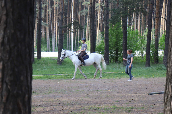Конные прогулки в Екатеринбурге. Подарочные сертификаты Ultra Подарки. Купить оригинальный подарок или подарочный сертификат на Конные прогулки в Екатеринбурге. Сервис UltraPodarki.ru 8-800-505-9530. Катание на лошадях, Прогулка на лошади, Прогулка на лошадях для двоих, Конные прогулки, конный клуб, Конный клуб, конная прогулка, конная прогулка в Екатеринбурге