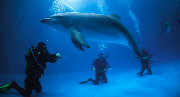 Дайвинг в Екатеринбурге глубокое погружение с аквалангом. Ultra Подарки. Дайвинг. Купить дайвинг в Екатеринбурге, обучение глубокому погружению, арендовать акваланг и подводное снаряжение. UltraPodarki.ru 8 800 505 95 30. дайвинг на озере, дайвинг погружение Екатеринбург, подводное плавание Екатеринбург, дайвинг клуб Екатеринбург, подарочные сертификаты, глубокое погружение, погружение с аквалангом Екатеринбург, дайвинг центр Екатеринбург, купить дайвинг Екатеринбург