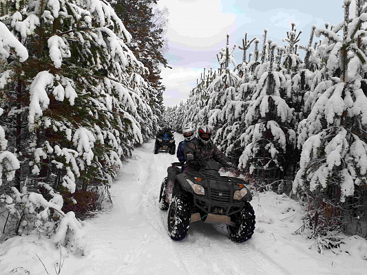 Прокат квадроциклов в Екатеринбурге. Сервис Ultra Подарки. Подарочный сертификат на прокат квадроциклов в Екатеринбурге. Закажите прокат квадроциклов недорого и наслаждайтесь активным отдыхом с друзьями. Выбирайте живописные маршруты для езды на квадроциклах. Сервис UltraPodarki.ru 8800-505-9530. Прокат квадроциклов, Прокат квадроциклов, езда на квадроцикле, прокат квадроциклов Екатеринбург, прокат квадроциклов Екатеринбург, Прокат квадроциклов зимой, Прокат квадроциклов летом, Сертификат на прокат квадроциклов 
